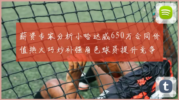 薪资专家分析小哈达威650万合同价值热火巧妙补强角色球员提升竞争力